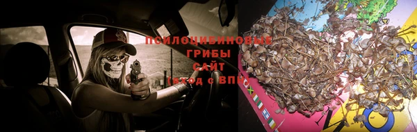 амф Покачи