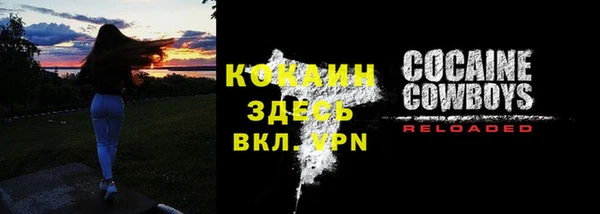 шишки Покровск