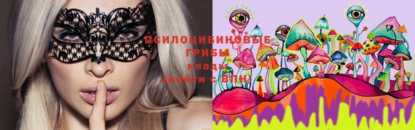 спиды Абинск