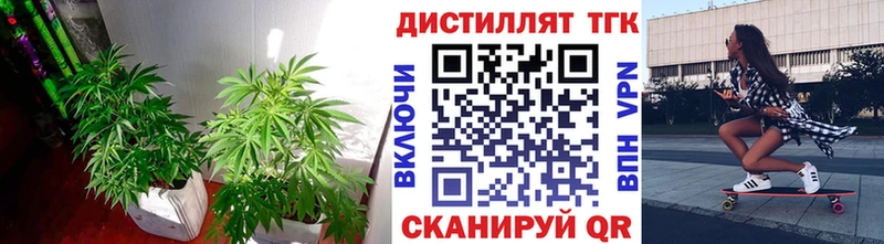 ТГК Wax  Котовск 