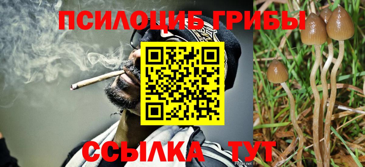Галлюциногенные грибы ЛСД Котовск