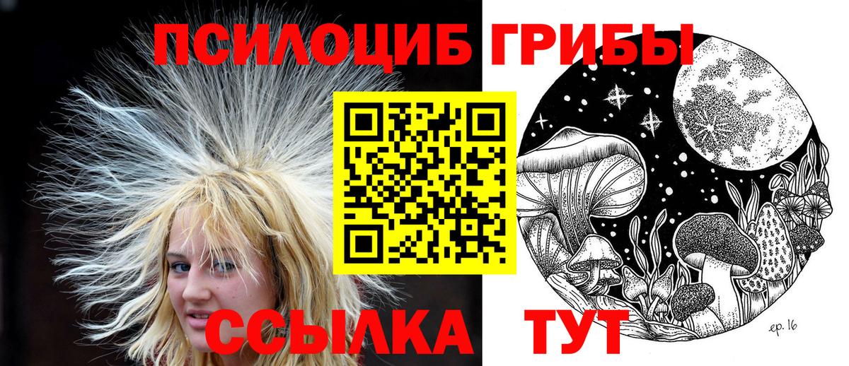 Псилоцибиновые грибы Psilocybe  Псилоцибиновые грибы GOLDEN TEACHER  Вход с VPN  Котовск 